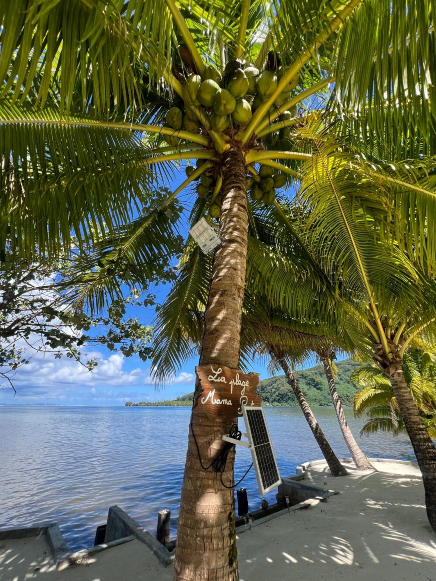 Fare Mama Rota - Au Bord De L'Ocean Vila Taputapuapea Exterior foto